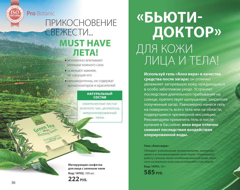 Лето 2015 TianDe