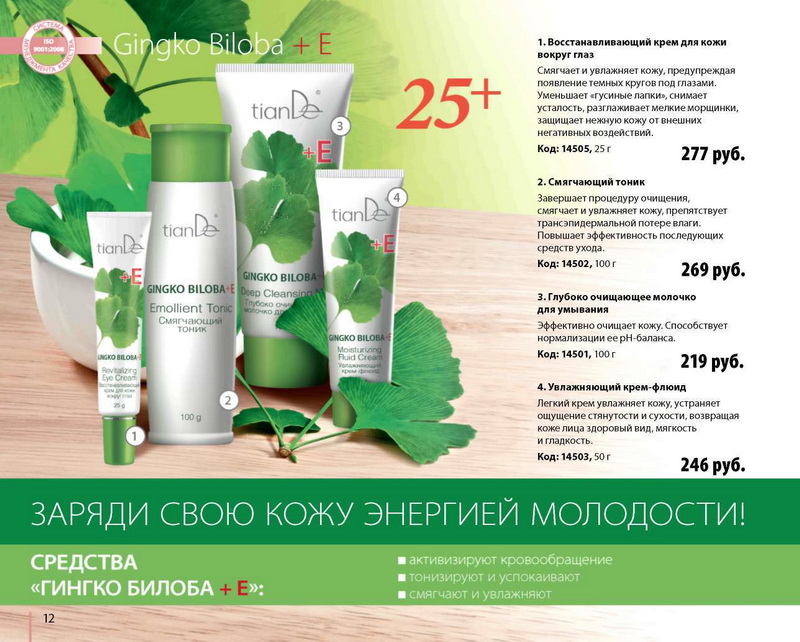 TianDe Каталог Осень
