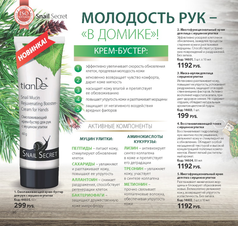 Зима 2015 TianDe